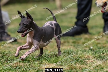 IMG_2123.jpg