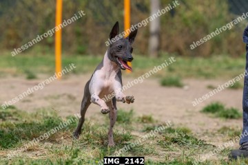 IMG_2142.jpg