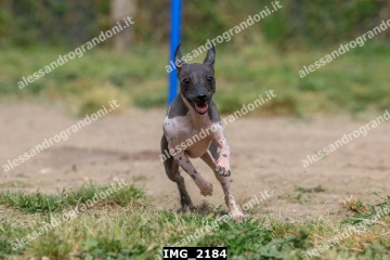 IMG_2184.jpg