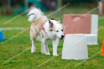 _0459.jpg