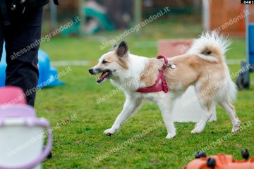 _0461.jpg