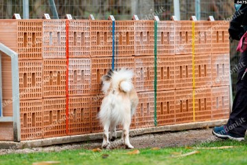 _0475.jpg