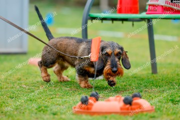 _0606.jpg