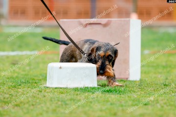_0607.jpg
