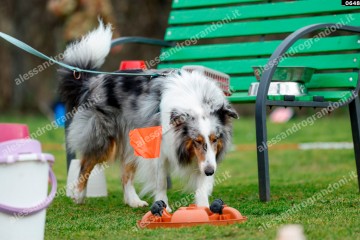 _0648.jpg