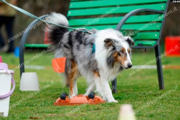 _0649.jpg