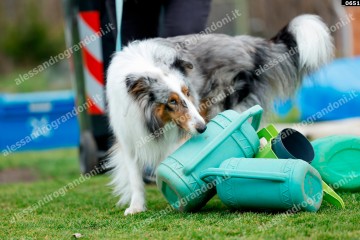 _0651.jpg