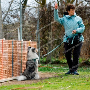 _0672.jpg