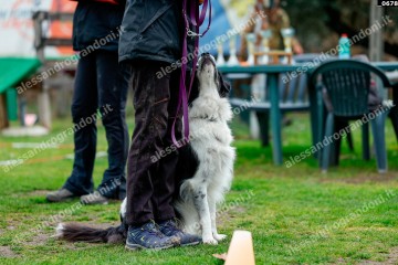 _0678.jpg