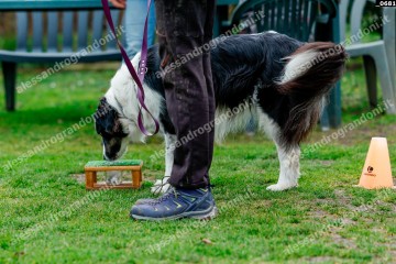 _0681.jpg