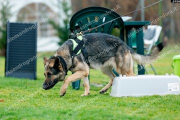 _0759.jpg