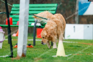 _0790.jpg