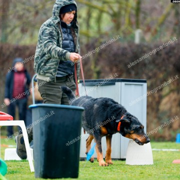 _0809.jpg
