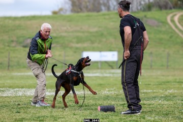 IMG_2641.jpg