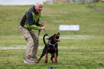 IMG_2803.jpg