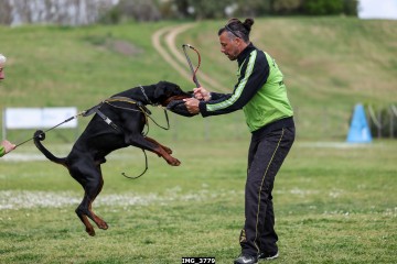 IMG_3779.jpg