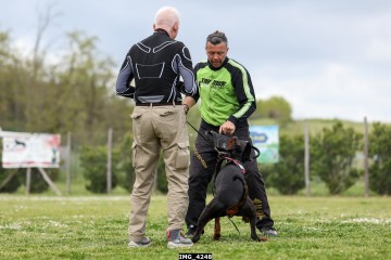 IMG_4248.jpg
