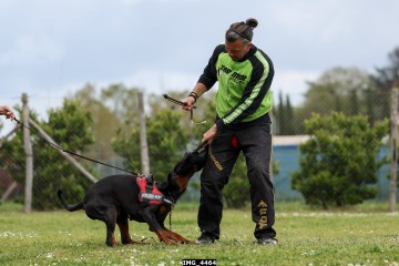 IMG_4464.jpg