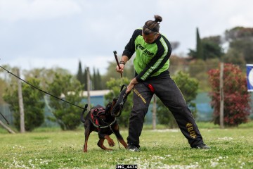 IMG_4474.jpg