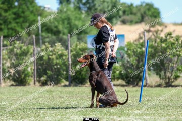 IMG_3393.jpg