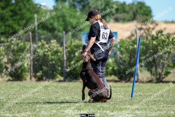 IMG_3400.jpg