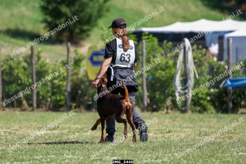 IMG_3440.jpg