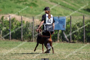 IMG_3463.jpg