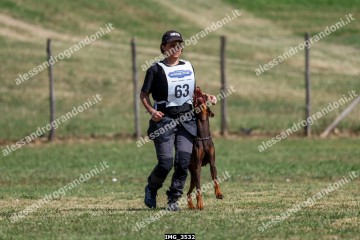 IMG_3532.jpg