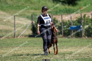 IMG_3563.jpg