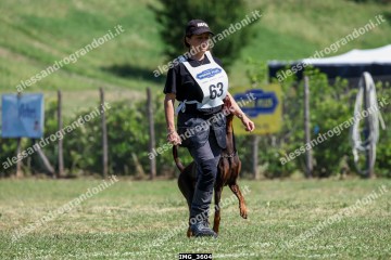 IMG_3604.jpg