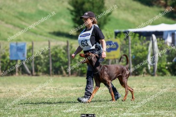 IMG_3613.jpg