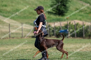 IMG_3624.jpg