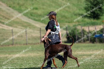 IMG_3632.jpg