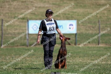 IMG_3668.jpg