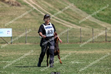 IMG_3705.jpg