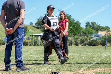IMG_3732.jpg