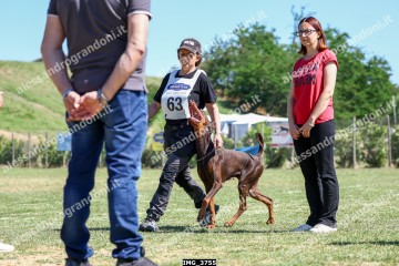 IMG_3755.jpg