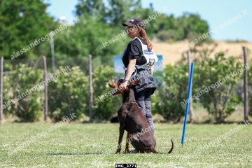 IMG_3771.jpg