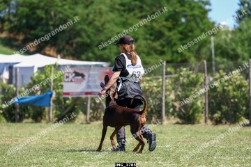IMG_3785.jpg