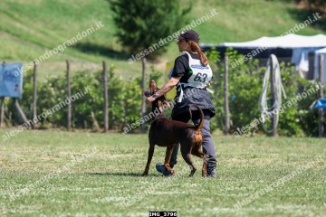 IMG_3796.jpg