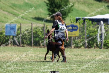 IMG_3809.jpg