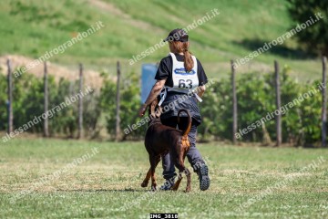 IMG_3818.jpg