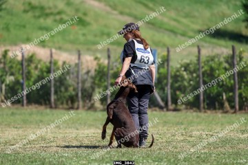 IMG_3842.jpg