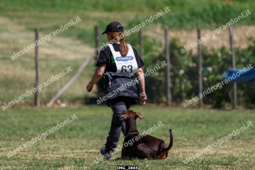 IMG_3865.jpg