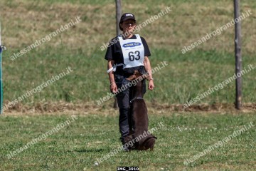 IMG_3910.jpg