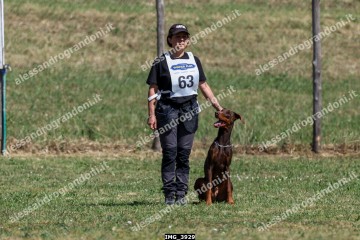 IMG_3929.jpg
