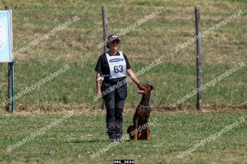 IMG_3934.jpg