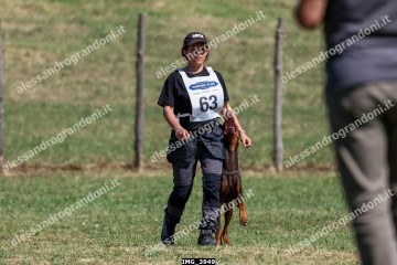 IMG_3949.jpg