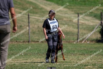 IMG_3964.jpg