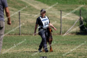IMG_3972.jpg